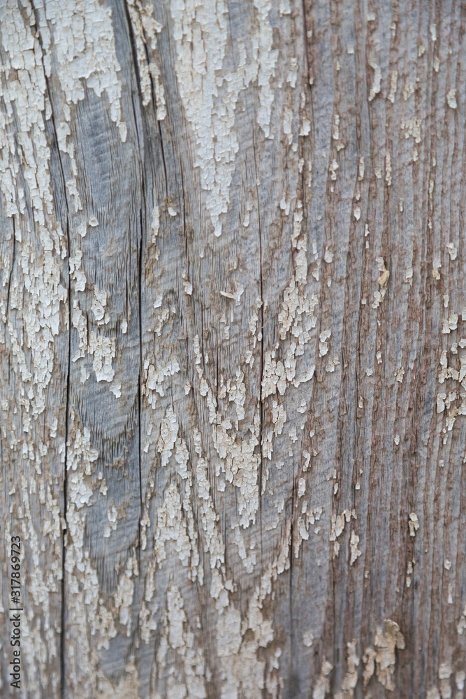 texture of wood texture of wood