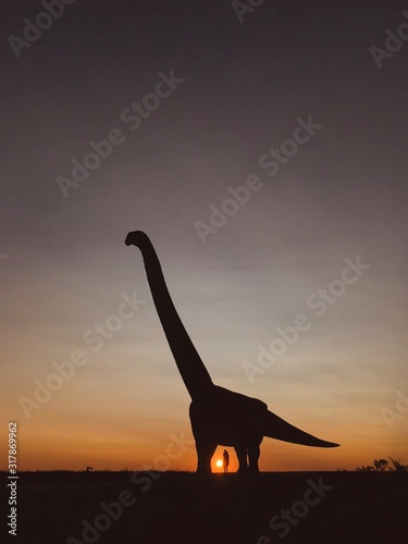 silhouette of giraffe in sunset © federico
