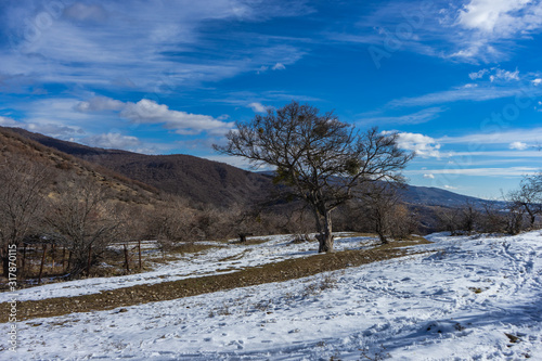 Kakheti landscape with Caucasus mountain on horizont