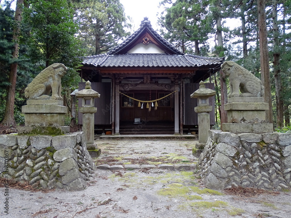 Obraz premium 八坂神社