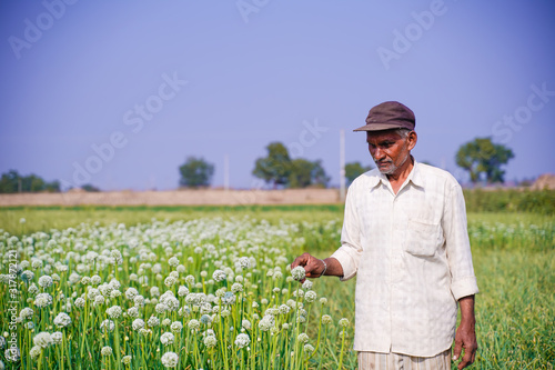 Indian farmer standing in onion field 