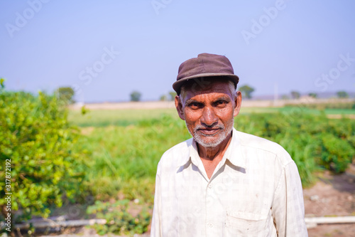 indian farmer in green chili field 