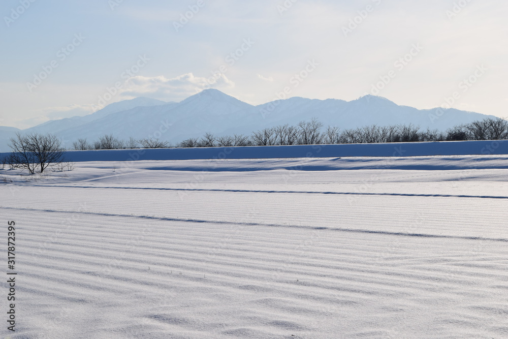Obraz premium 金峯山(きんぼうざん)/ 山形県の庄内海浜県立自然公園内にあり、国指定名勝として指定されている金峯山は、標高459mです。山頂からの景観は、鶴岡市内を見下ろすことができ絶景です。