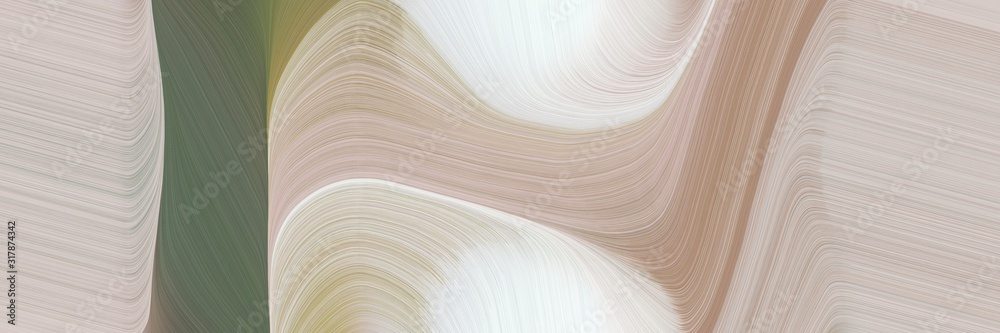 artistic horizontal header with pastel gray, silver and dim gray colors. dynamic curved lines with fluid flowing waves and curves artistic horizontal header with pastel gray, silver and dim gray colors. dynamic curved lines with fluid flowing waves and curves