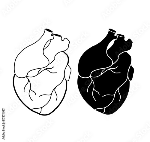 Set of realistic heart with aorta and veins. Medical picture. Black silhouette and outline drawing. The object is separate from the background. Vector element for your creativity.