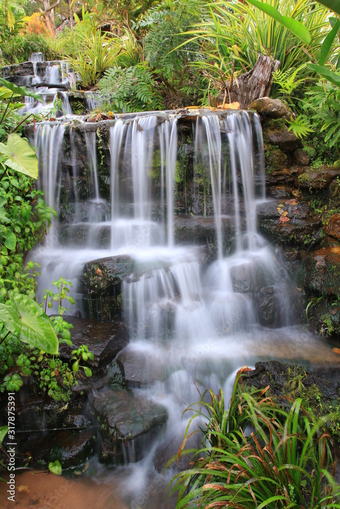 Obraz premium waterfall in the forest