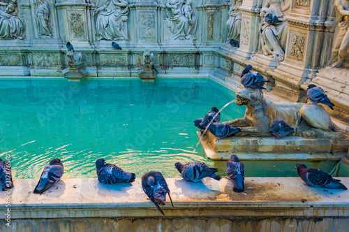 Fonte Gaia is a famous fountain in Piazza del Campo, Siena, Italy.