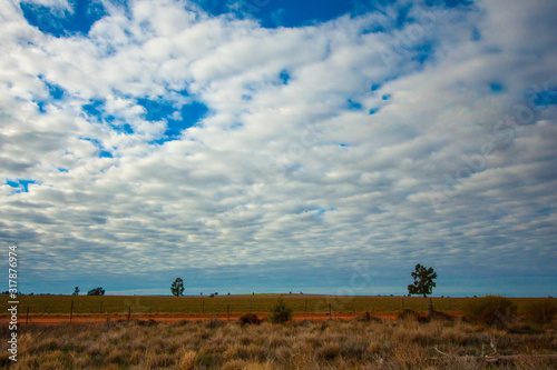 Beautifull cloudy sky fully coverd by small white clouds. Farmy fields rare trees. Sunny day with diffused light. NSW, Australia.