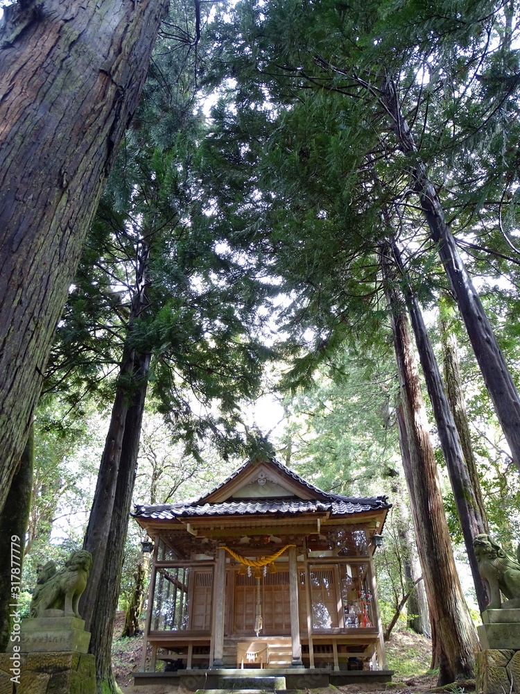 磯部神社 磯部神社