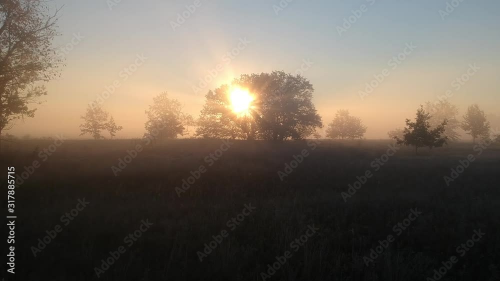 Flying on a drone over a morning meadow in the fog Flying on a drone over a morning meadow in the fog