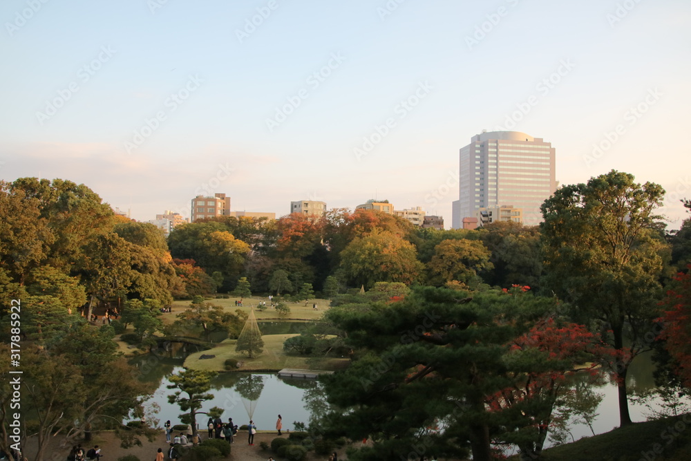 Obraz premium 都心のある日本庭園