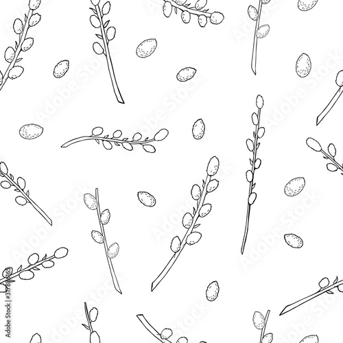 pussy willow seamless pattern on white background in black and white. pussy willow background for packing. Hand drawn illustration of pussy willow.