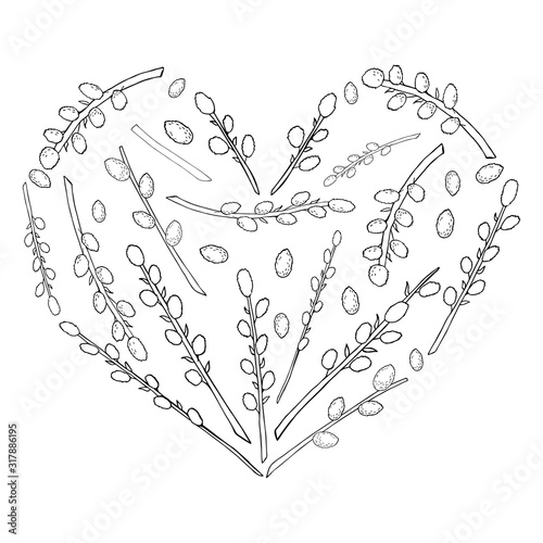 Heart of pussy willow set in black and white. Easter plants in black and white line art vector for coloring book and and greeting design