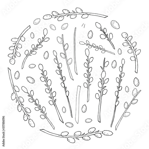 circle of pussy willow set in black and white. Easter plants in black and white line art vector for coloring book and and greeting design