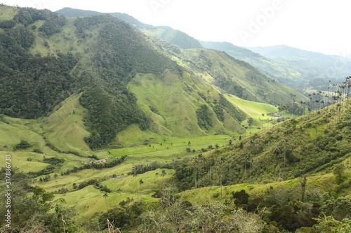 Cocora Valley, which is nestled between the mountains of the Cordillera Central in Colombia. © Toniflap