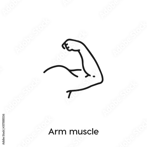 arm muscle icon vector . arm muscle sign symbol