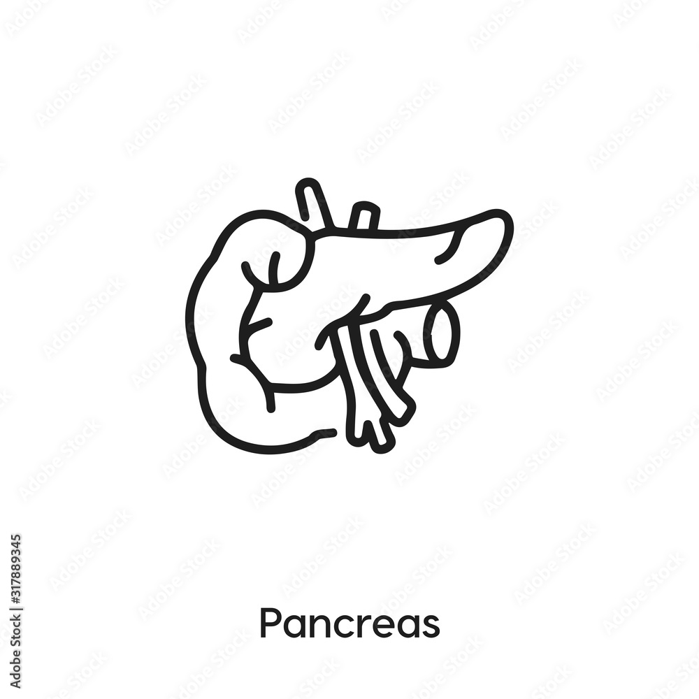 pancreas icon vector . pancreas sign symbol pancreas icon vector . pancreas sign symbol