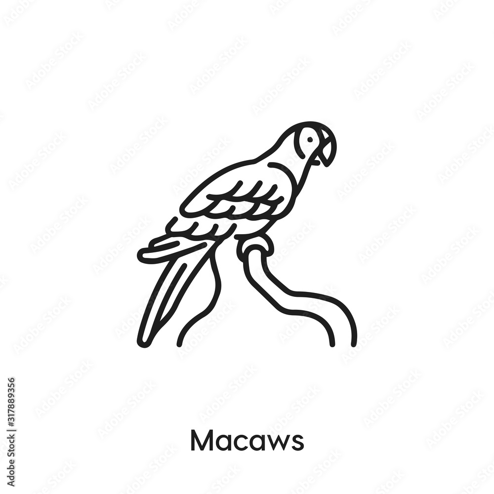 Fototapeta premium macaws icon vector. macaws icon vector symbol illustration. Modern simple vector icon for your design. macaws icon vector