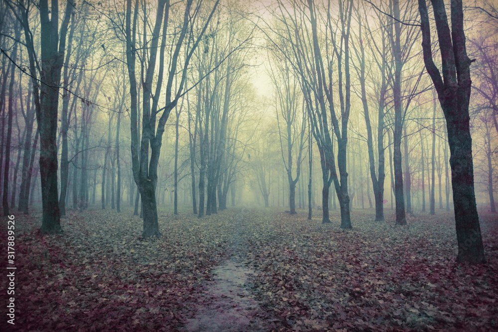 A spooky landscape of an abandoned park with bare trees.