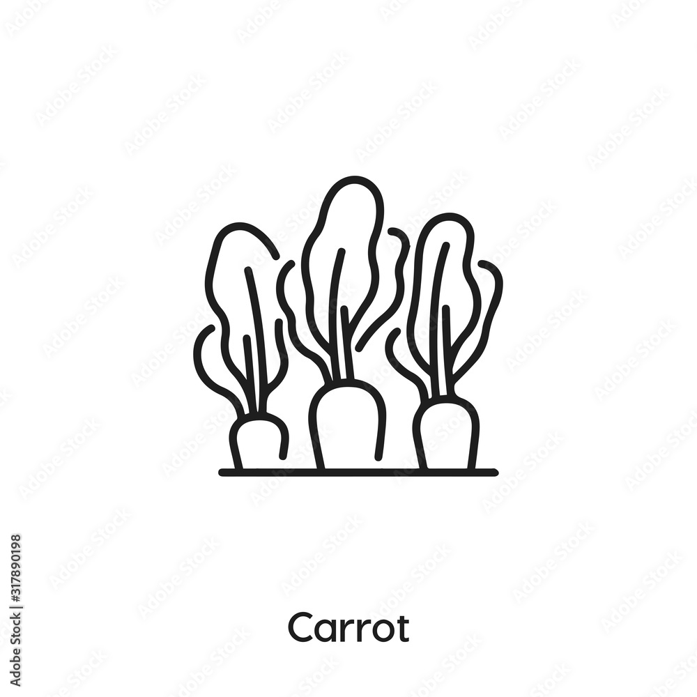 carrot icon vector . carrot sign symbol