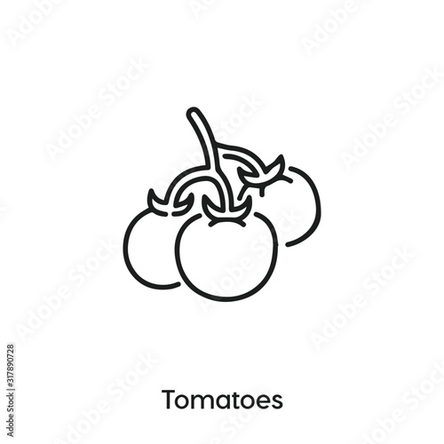 tomatoes icon vector. tomatoes icon vector symbol illustration. Modern simple vector icon for your design. tomatoes icon vector