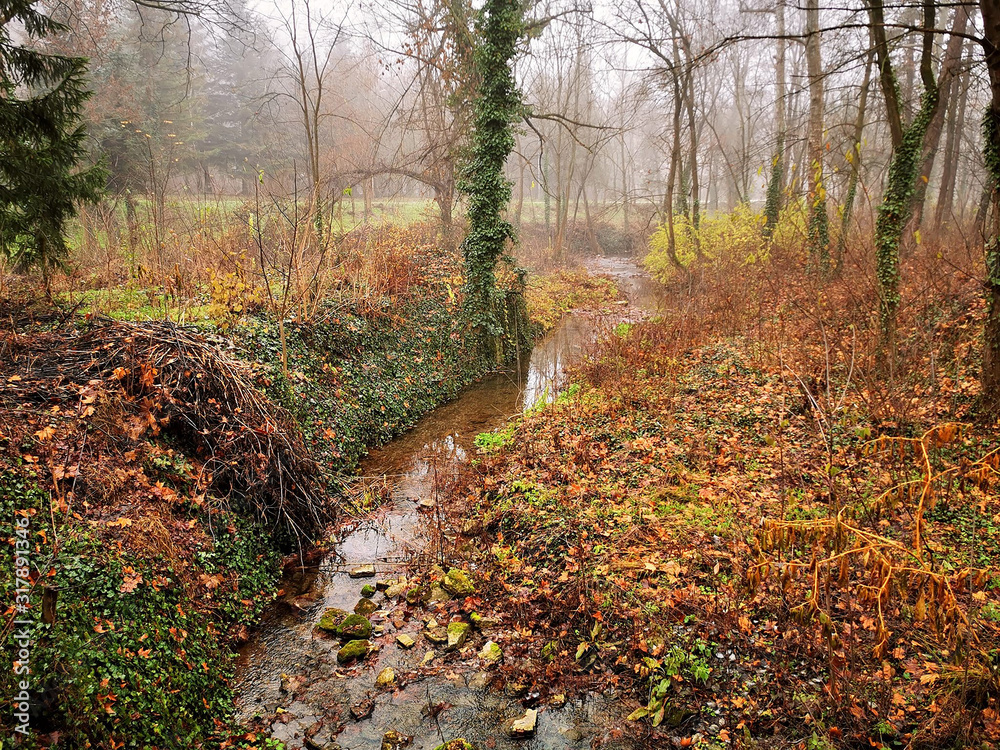 nature nature