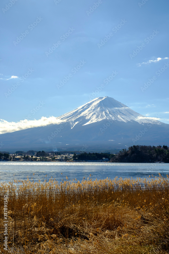 河口湖大石公園からの富士山