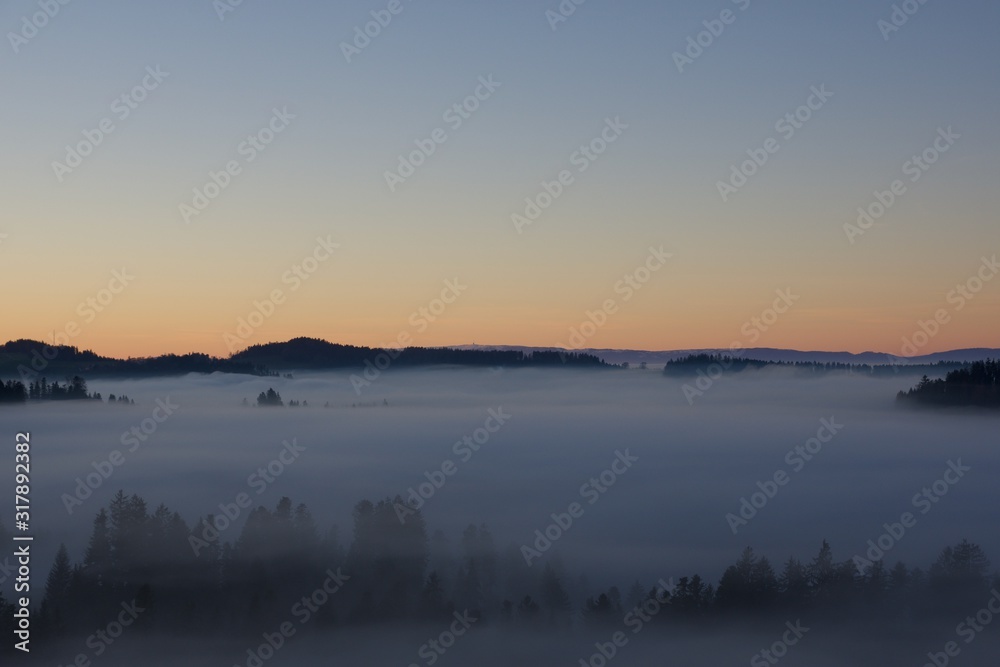 Sea of fog with forest island in sunset light, overlooking the Swiss mountainrange of Jura