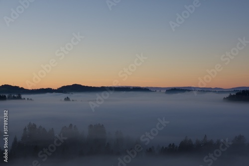 Sea of fog with forest island in sunset light  overlooking the Swiss mountainrange of Jura