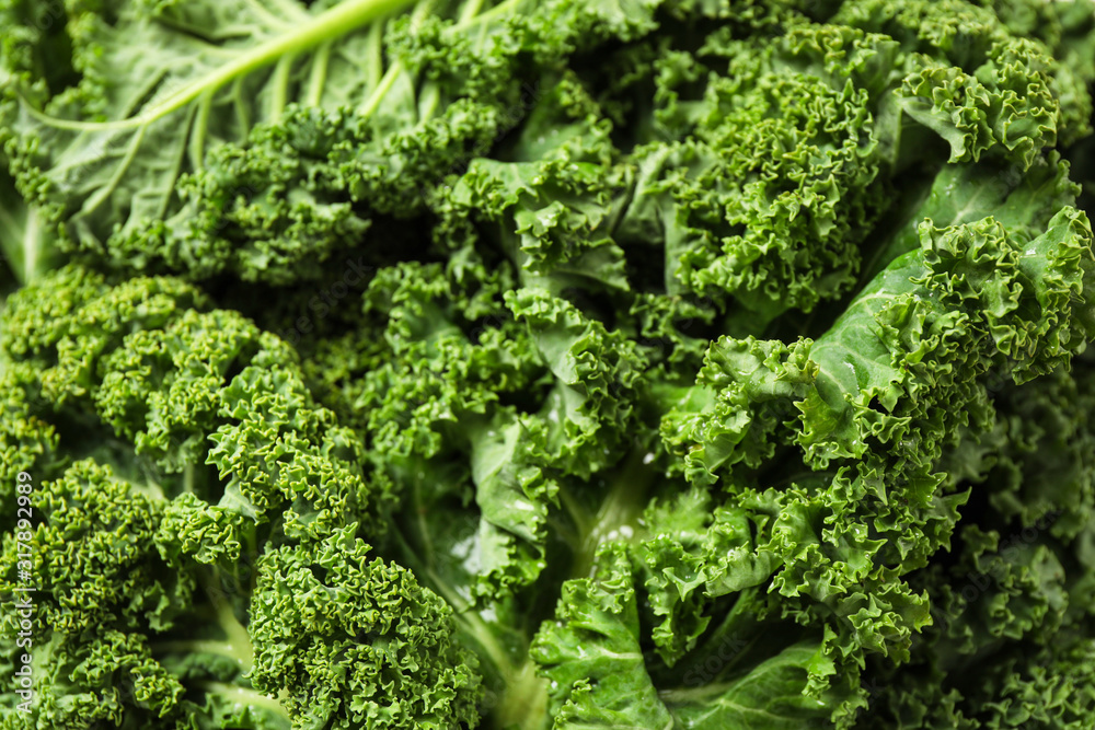 Fresh wet kale leaves as background, closeup Fresh wet kale leaves as background, closeup