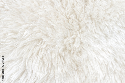 White Real Wool with Beige Top Texture Background. Light Cream