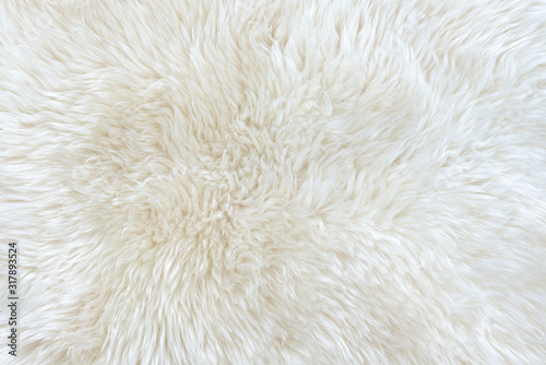 White real wool with beige top texture background. light cream natural sheep wool. seamless plush cotton, texture of fluffy fur for designers