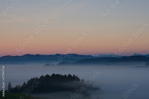 Sea of Sea of fog with forest island in sunset light with Swiss Alps in background