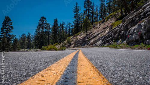 Beautiful and colorful nature in the Yosemite Park, California, USA