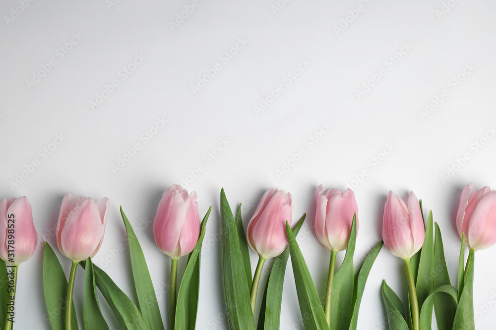 Beautiful pink spring tulips on white background, top view Beautiful pink spring tulips on white background, top view