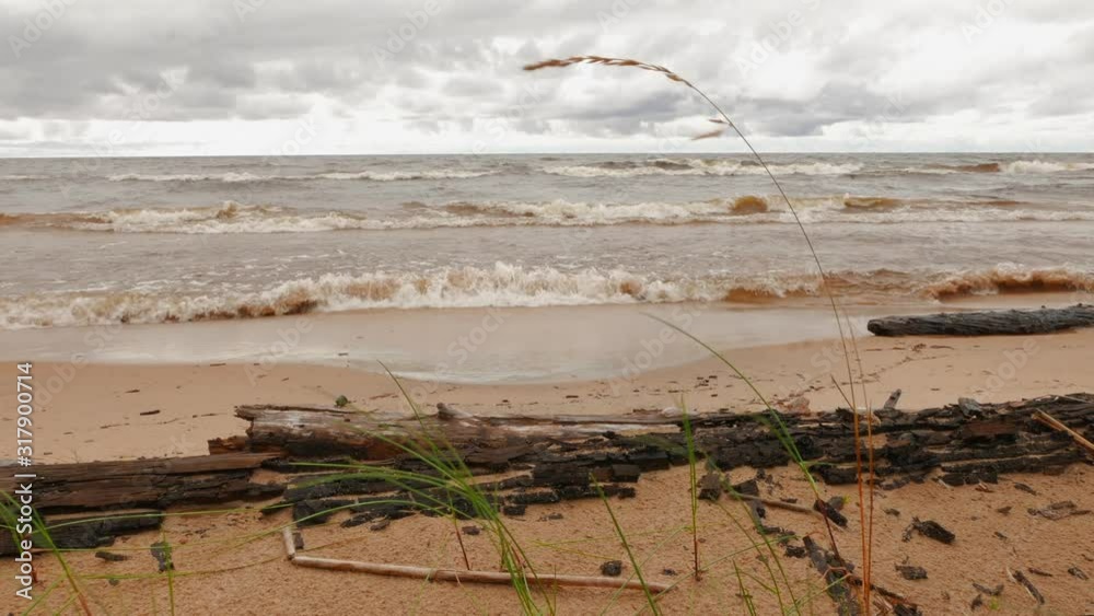 The waves of the troubled Lake Onega roll onto the sandy shore and the tree trunk on the shore. Karelia, Russia. The waves of the troubled Lake Onega roll onto the sandy shore and the tree trunk on the shore. Karelia, Russia.