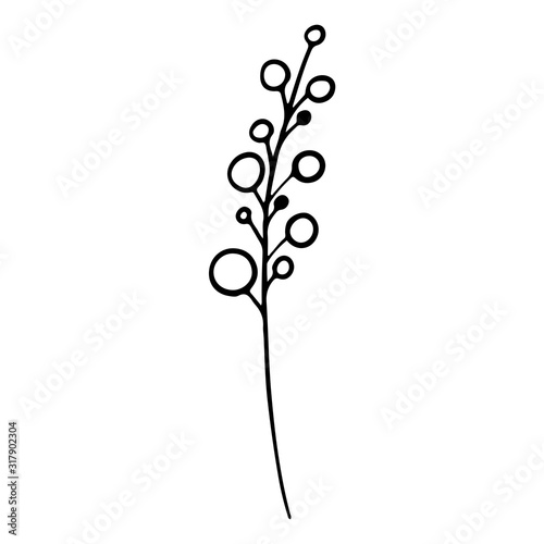 Digital illustration of a cute black contour doodle spring theme mimosa flower in scandinavian style. Print for clothes, poster, banner, postcard, web design, coloring.