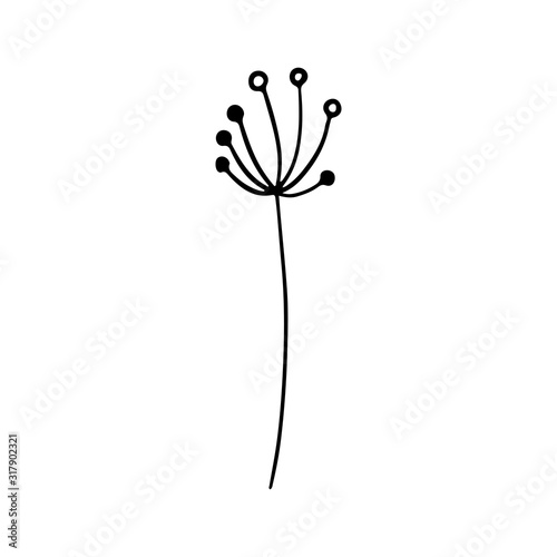 Fototapeta Naklejka Na Ścianę i Meble -  Digital illustration of a cute black contour doodle spring theme dried flower in a Scandinavian style. Print for clothes, poster, banner, postcard, web design, coloring.