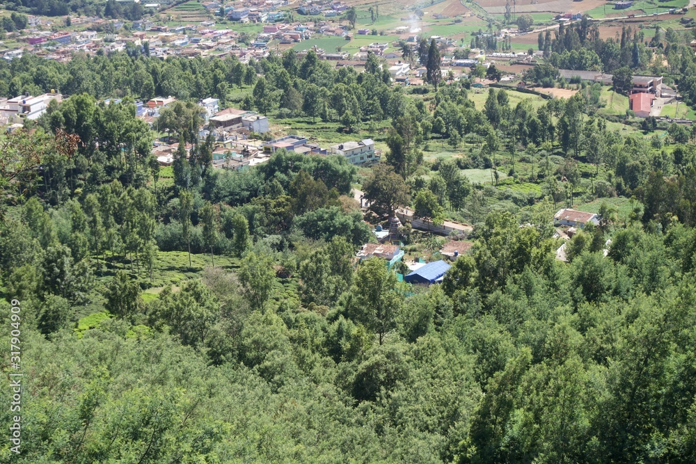 View point and green trees with blue sky and tea garden 