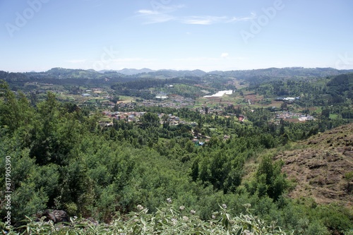 View point and green trees with blue sky and tea garden 