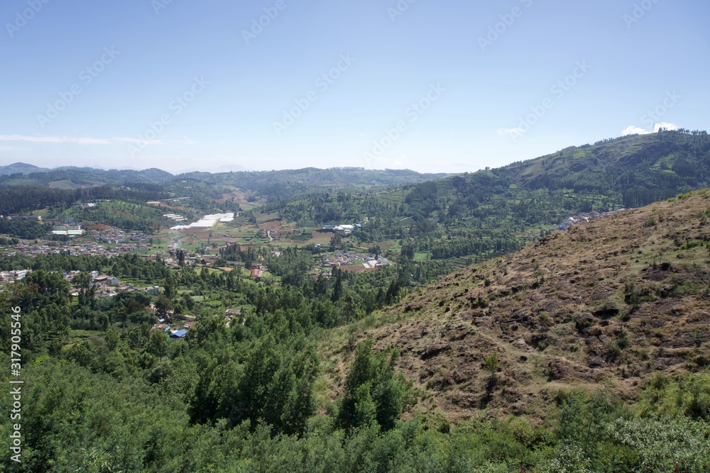 View point and green trees with blue sky and tea garden View point and green trees with blue sky and tea garden