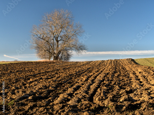 Gepfl  gter Acker in der Wintersonne