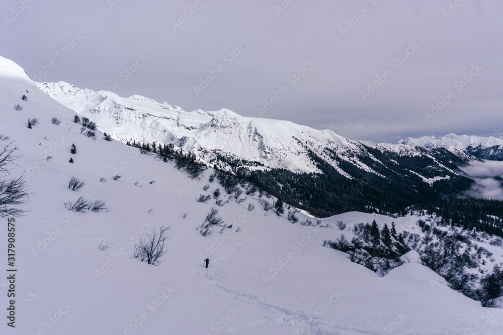 The snowy mountains, the forest and the nature of the Alps during a winter day near the town of Ardesio, Italy - December 2019.