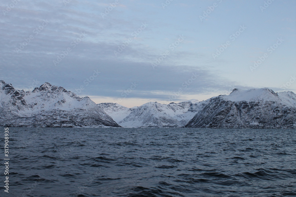 Arctic Fjords - Fiordi artici