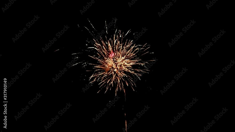 Static view of brocade style fireworks exploding against the dark, starless sky with red flares and golden sparks Static view of brocade style fireworks exploding against the dark, starless sky with red flares and golden sparks