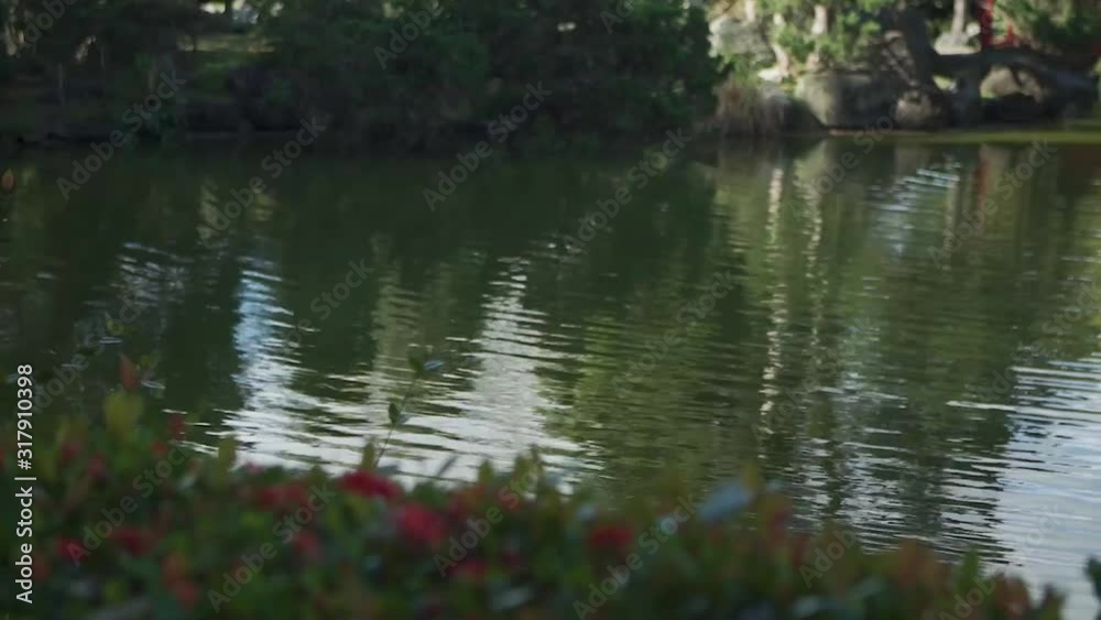 Amazing lakeside scenic reflection countryside Amazing lakeside scenic reflection countryside