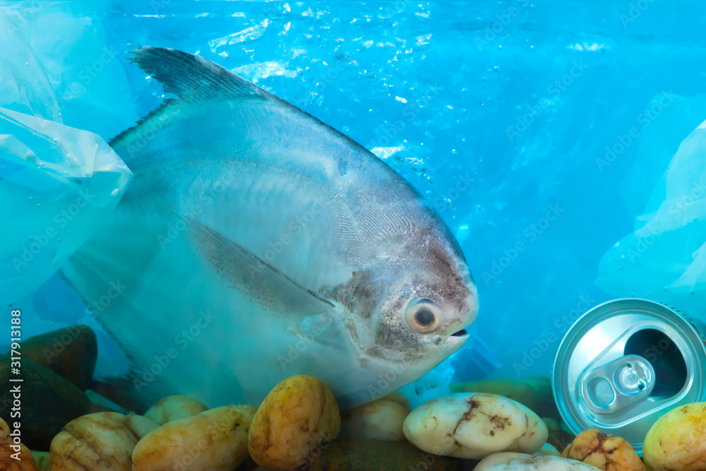 Fototapeta premium Disposal of waste into water sources, such as plastic bags, is non-biodegradable, causing pollution and is harmful to aquatic animals and ecological systems.