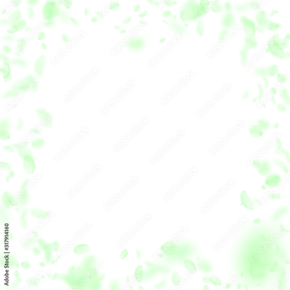 Green flower petals falling down. Magnificent roma Green flower petals falling down. Magnificent roma