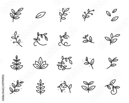 set of leaf icons, natural, spring
