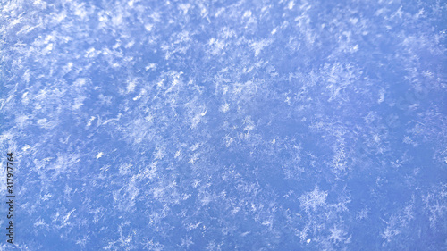 CLOSE UP: Detailed shot of frozen snowflakes stuck to a light blue icy surface.